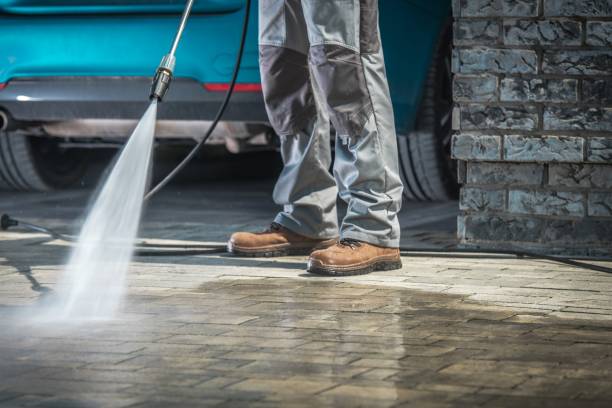 Best Soft Washing  in , WV